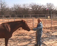 Nancy & Tiz