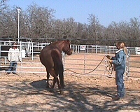 Nancy & Tiz